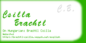 csilla brachtl business card